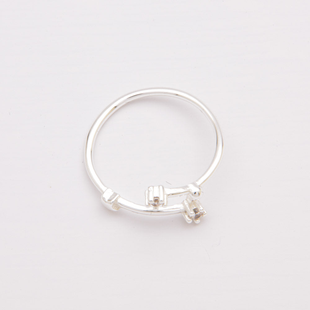 Ring ARIES