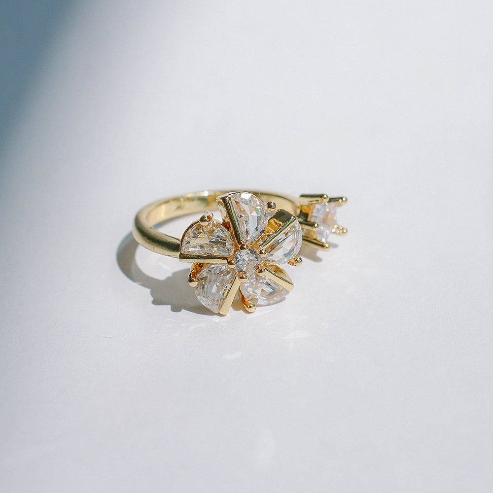 Ring DARA